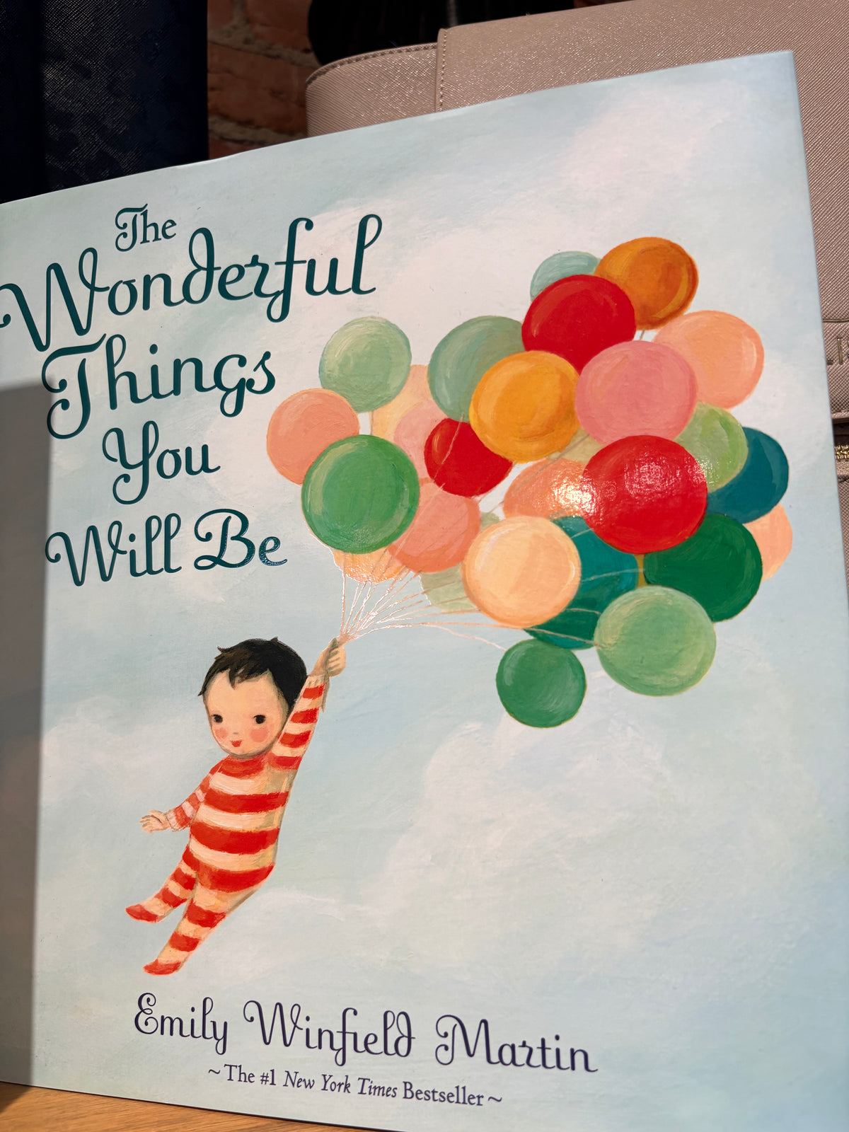 The wonderful things you will be book