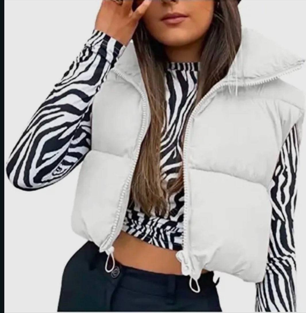 Snow Dreams Vest