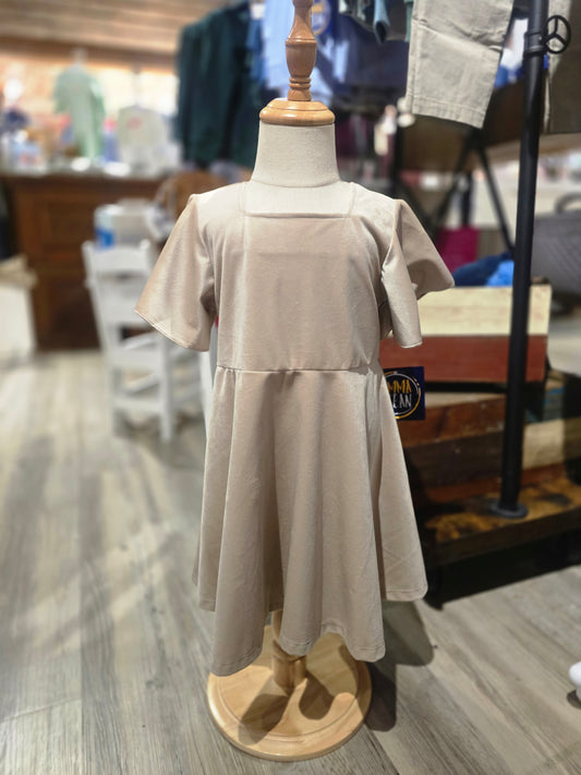 Addison Velvet Dress
