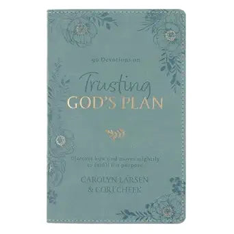 Trusting God's Plan Devotional