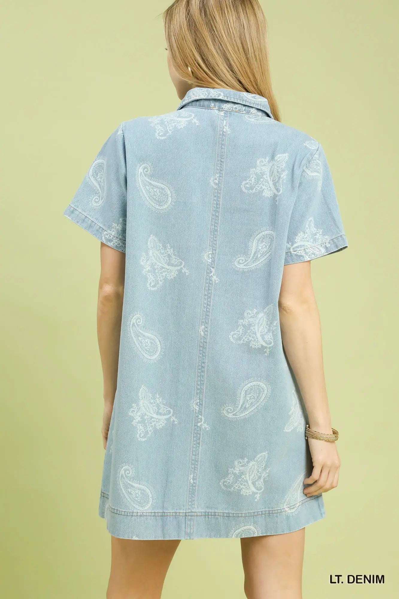 Denim Paisley Print Dress