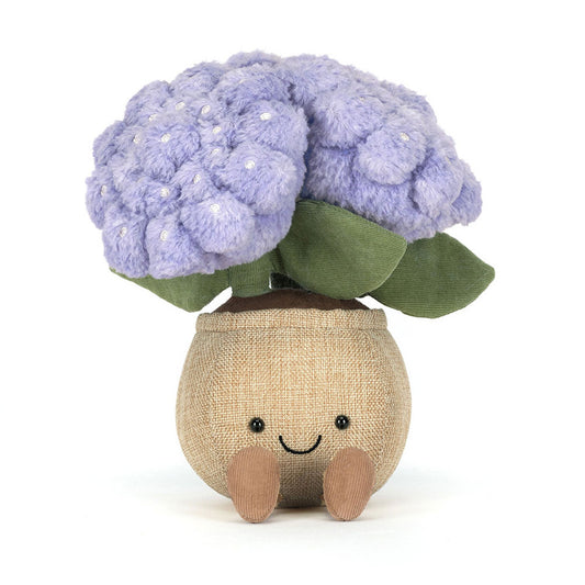 JC Ameseables Hydrangea