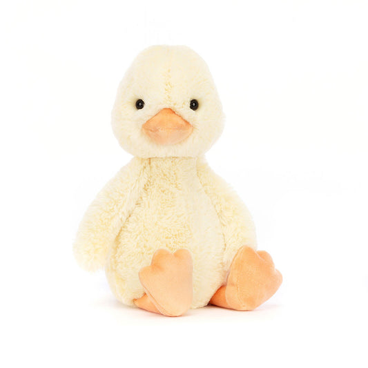 JC Bashful Duckling