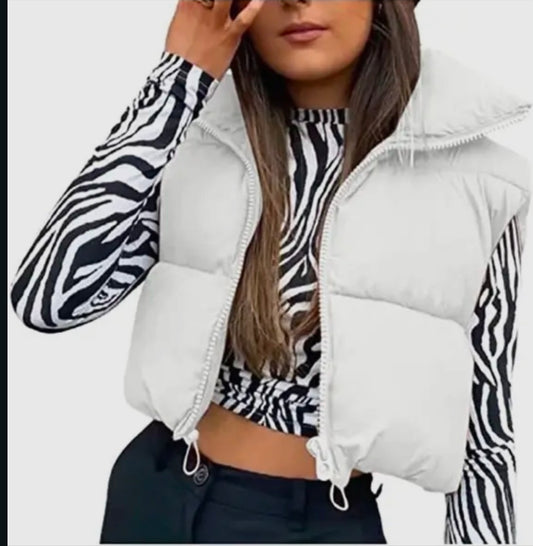 Snow Dreams Vest