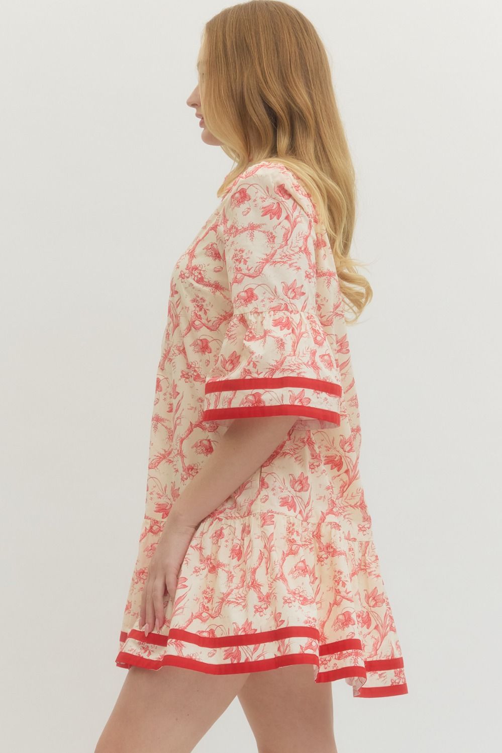 Vintage Toile Dress