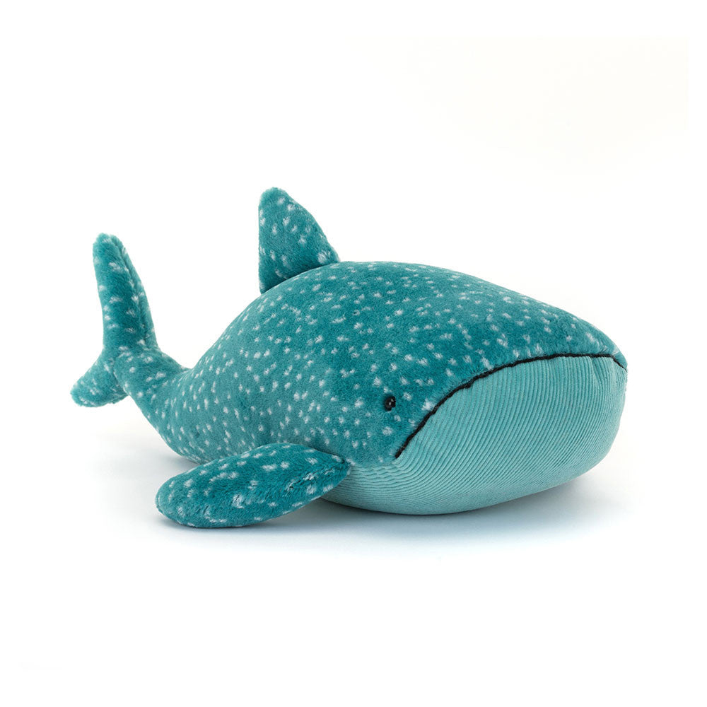 JC Gobfrey Whale Shark
