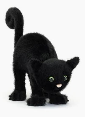 JC Spookipaws Cat